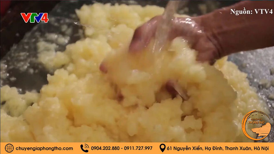 Nghiền tre thành bột nhuyễn