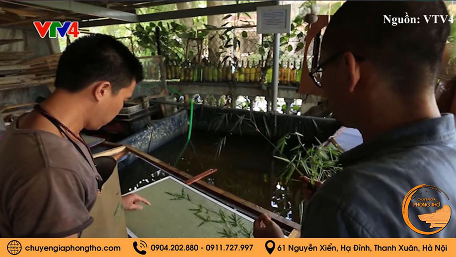 Xeo bột giấy thành tấm giấy ướt