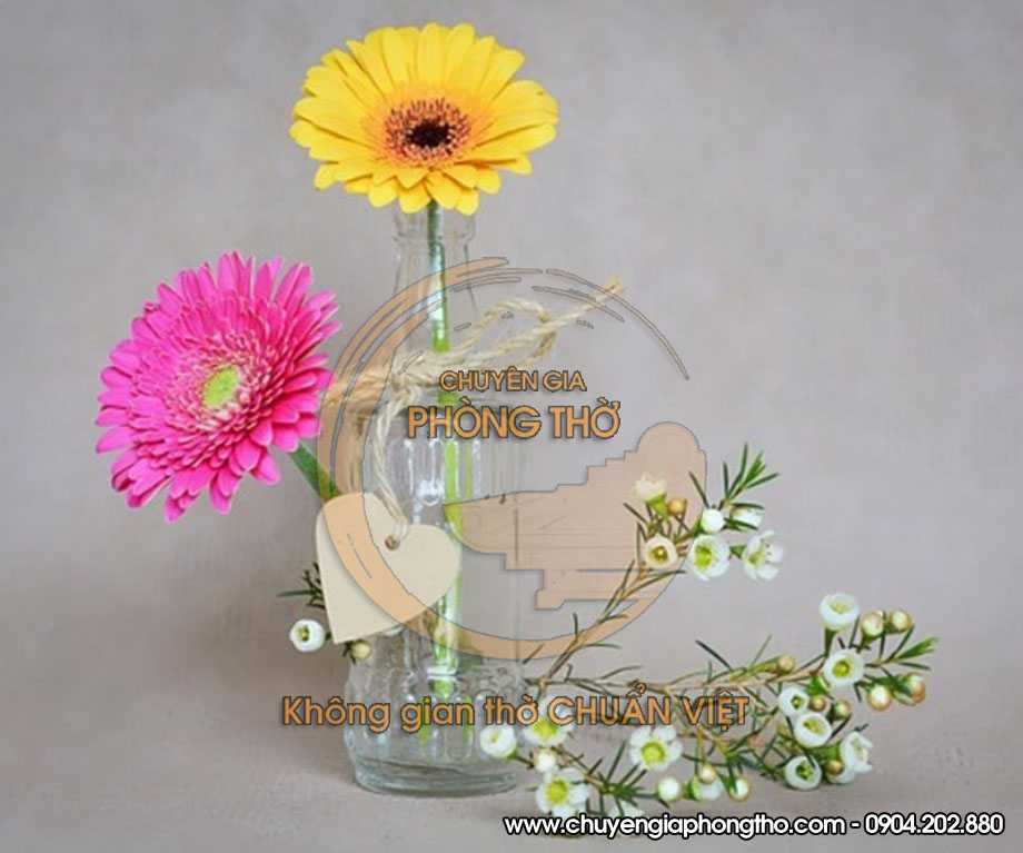 hoa đồng tiền bày trên bàn thờ