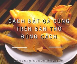 Hướng dẫn chi tiết cần biết về cách đặt gà cúng trên bàn thờ