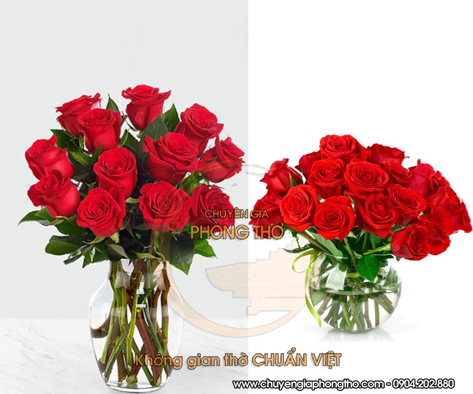 hoa hồng đỏ
