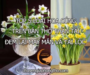 5 loài hoa cúng trên bàn thờ thần tài