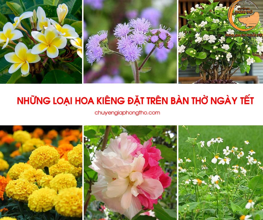 Những loại hoa tết không nên cắm trên bàn thờ ngày Tết